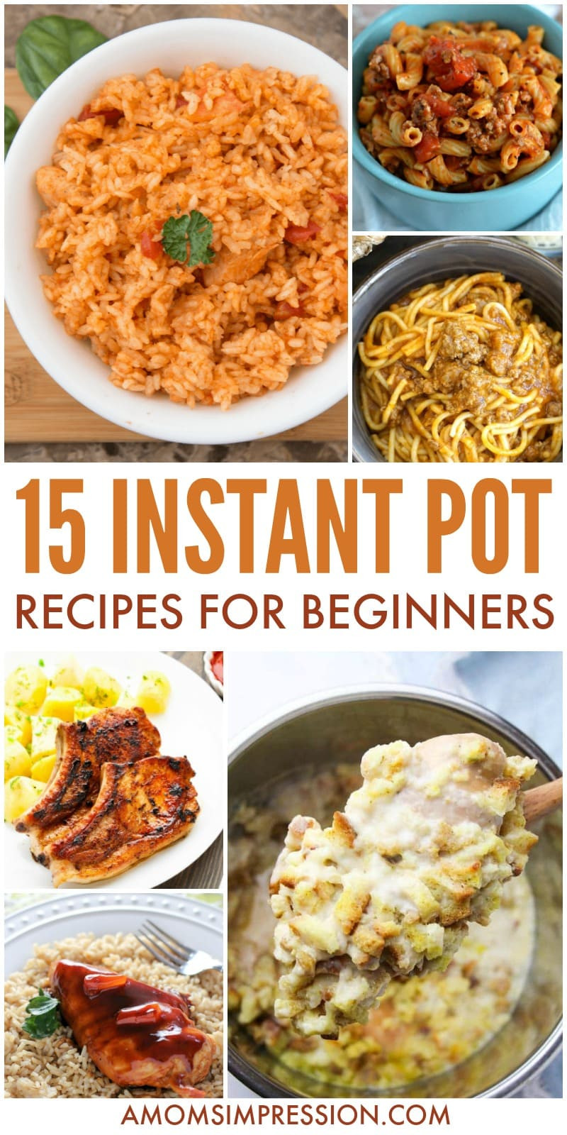 Easy Instant Pot Recipes
 15 Easy Instant Pot Recipes for Beginners A Mom s Impression