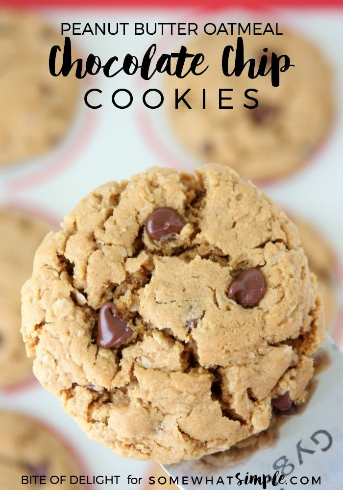 Easy Peanut Butter Oatmeal Cookies
 Peanut Butter Oatmeal Chocolate Chip Cookies Somewhat Simple