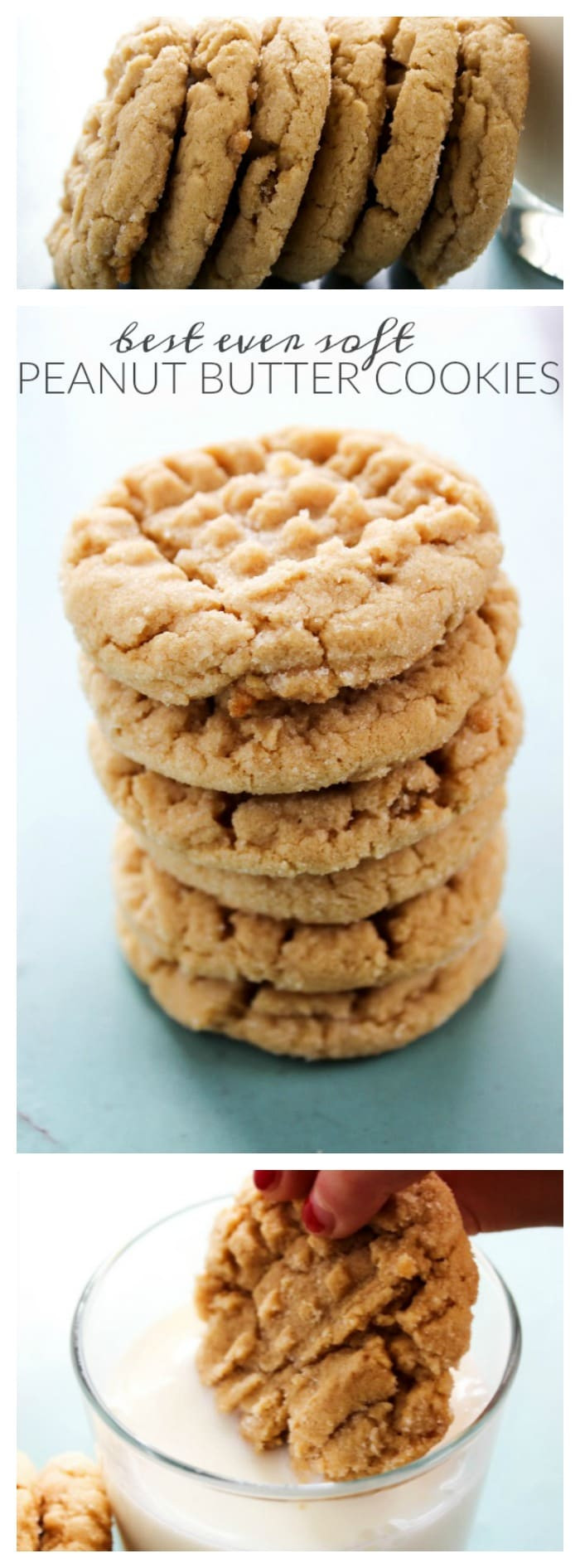 Easy Soft Peanut Butter Cookies
 BEST EVER SOFT PEANUT BUTTER COOKIES A Dash of Sanity