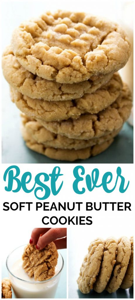 Easy Soft Peanut Butter Cookies
 Best Ever Soft Peanut Butter Cookies A Dash of Sanity