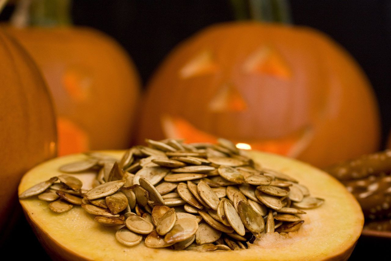 Fiber In Pumpkin Seeds
 Crisped fiber filled pumpkin seeds can hail from the Jack