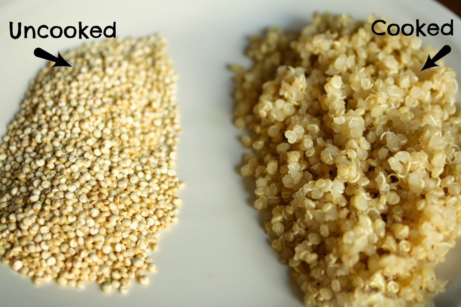 Fiber In Quinoa
 Top10 Fiber Rich Foods To Stay Fit And Healthy
