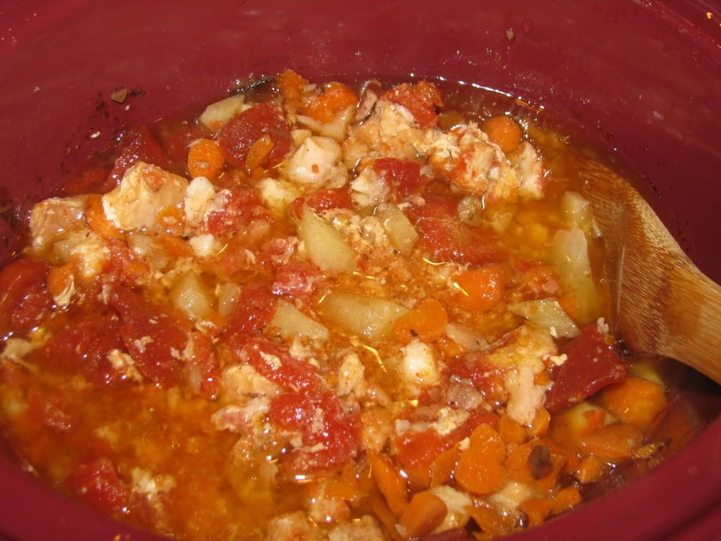 Fish Crock Pot Recipes
 South Carolina Catfish "Stew" crock pot