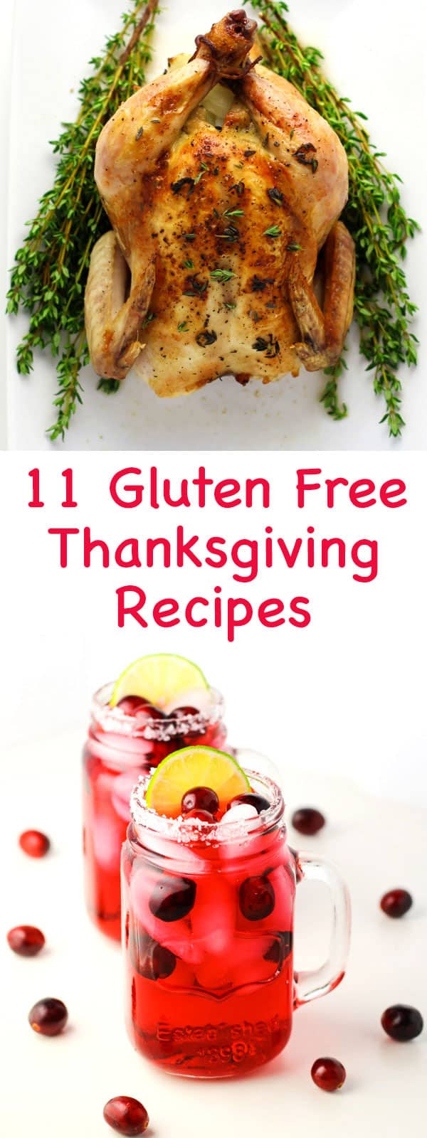 Gluten Free Thanksgiving Appetizers
 11 Gluten Free Thanksgiving Recipes Tastefulventure