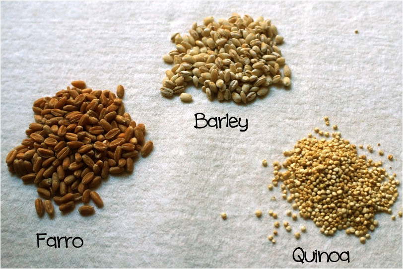 Grain Like Quinoa
 quinoa – Kelly Toups MLA RD LDN