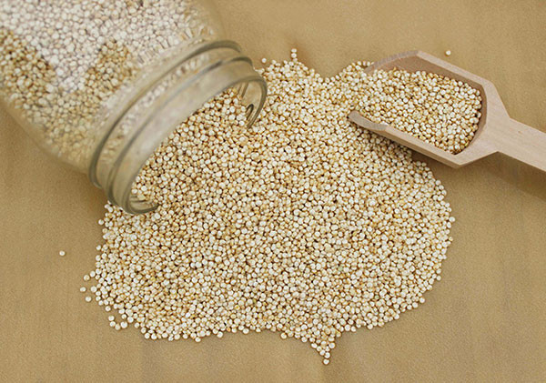 Grain Like Quinoa
 A Quinoa Recipe How to Cook Quinoa for Best Results