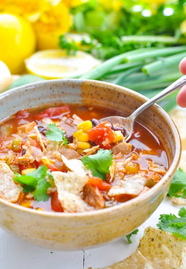 Healthy Chicken Tortilla Soup Slow Cooker
 Slow Cooker Chicken Tortilla Soup The Seasoned Mom