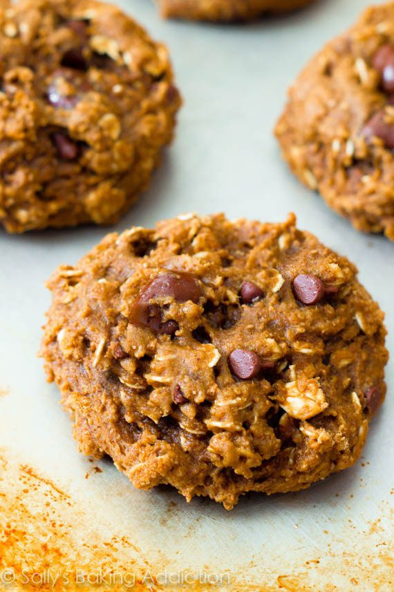 Healthy Cookies Recipe Low Calorie
 Healthy Oatmeal Raisinet Cookies