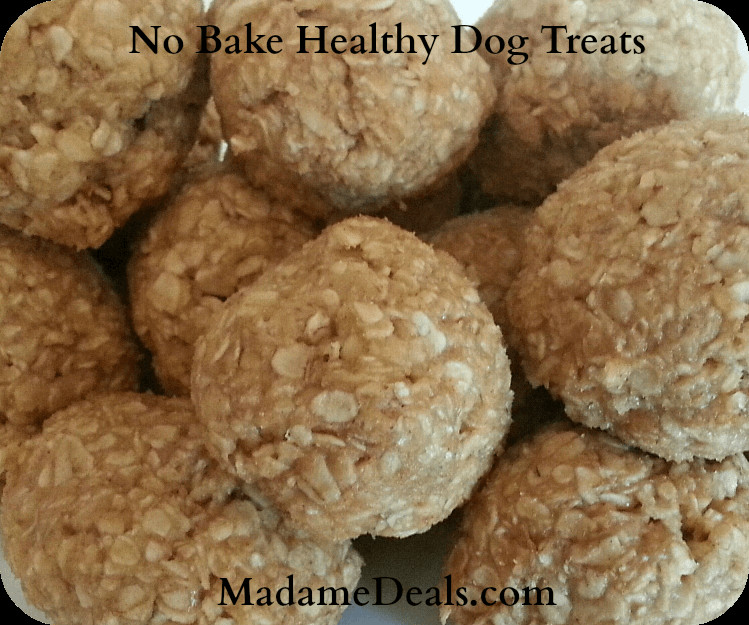 Healthy Dog Snacks
 Healthy Dog Treats No Baking Required Real Advice Gal