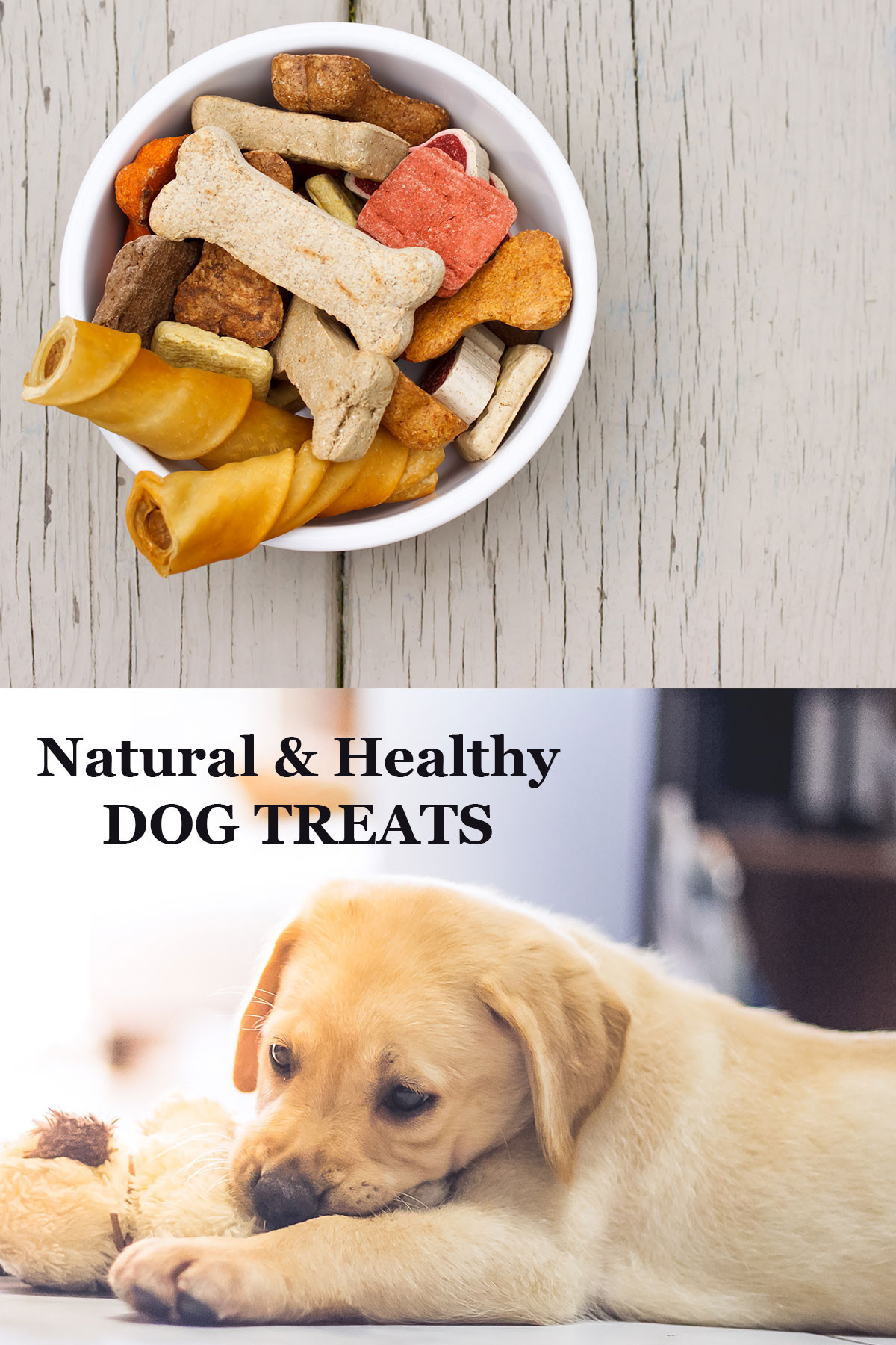 Healthy Dog Snacks
 Best Dog Treats For Labs
