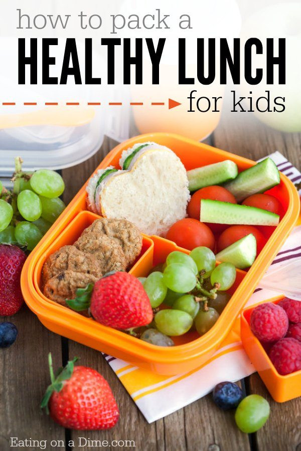 Healthy Lunches To Pack
 How to Pack Healthy Lunches for Kids Eating on a Dime