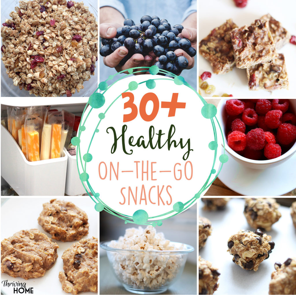 Healthy Snacks On The Go
 30 Healthy the Go Snacks and How I Get My Family to