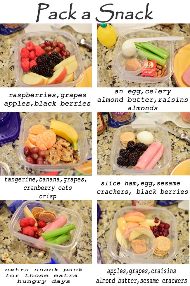 Homemade Healthy Snacks For School
 After School Snacks Pack A Snack Style she Cynthia