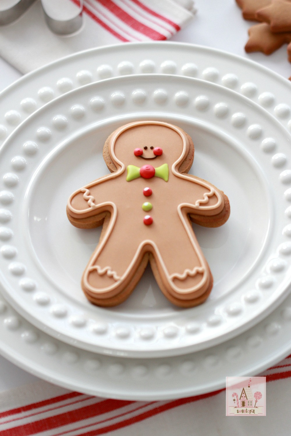 Icing For Gingerbread Cookies
 Video & Recipe How to Make Gingerbread Cut Out Cookies
