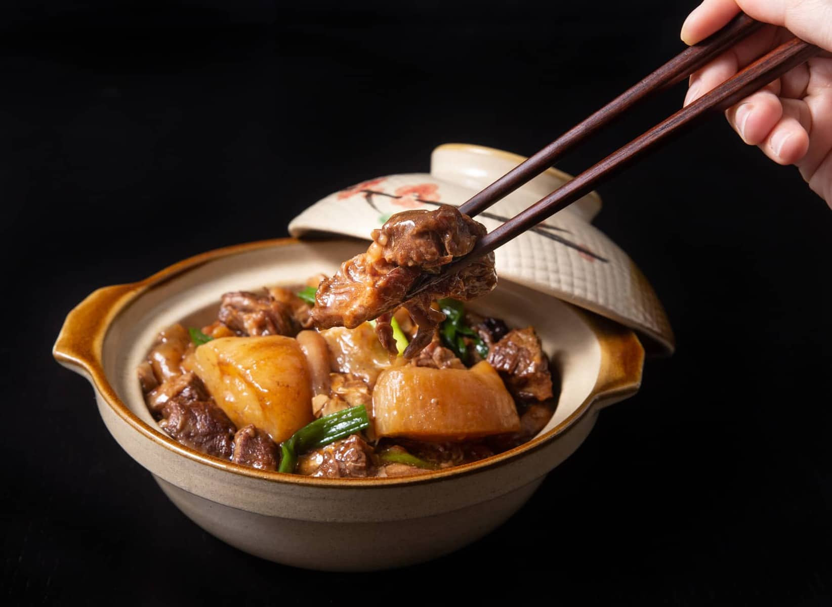 Instant Pot Top 500 Recipes
 Instant pot recipes chinese food lowglow