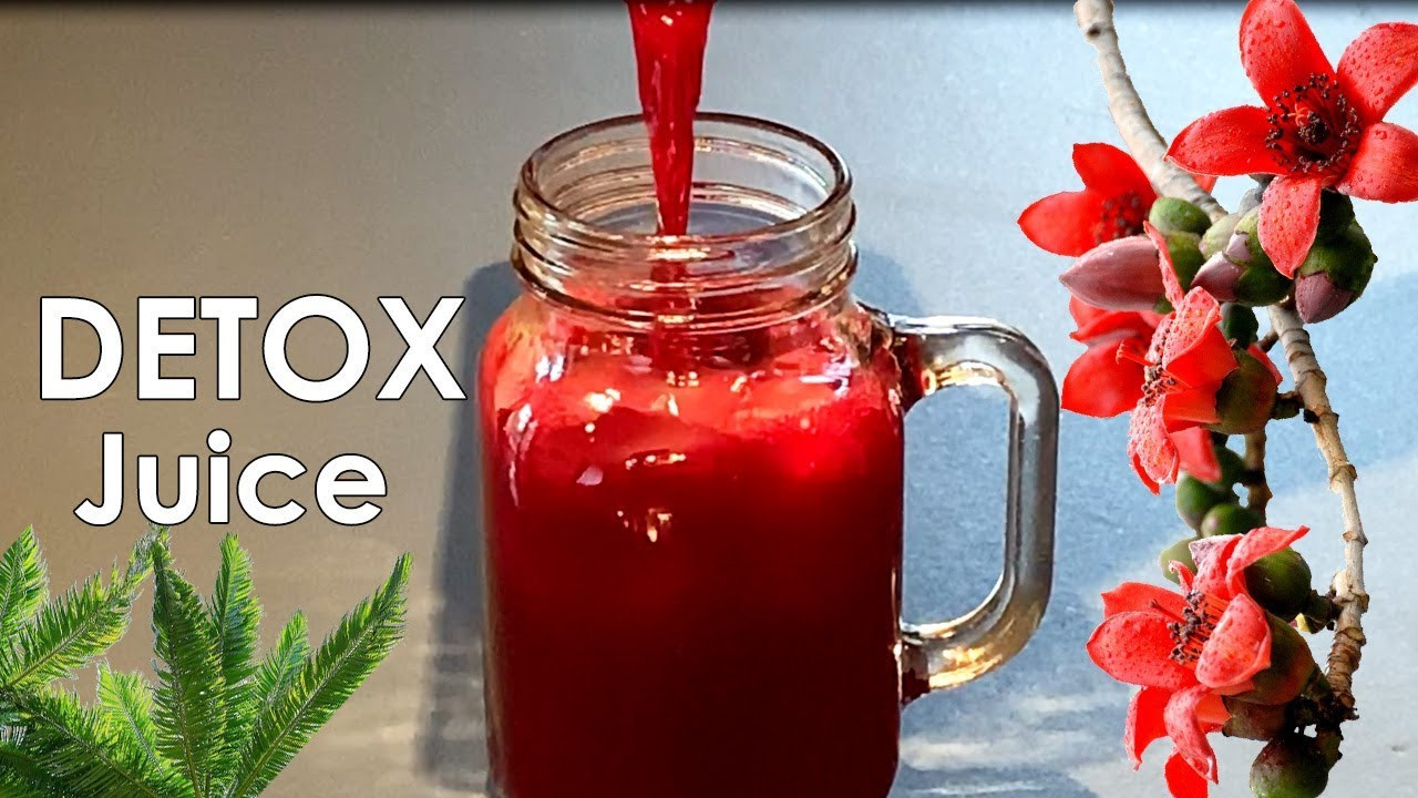 Juice Recipes For Weight Loss And Energy
 Detox Juice Cleanse Recipe Immune System Booster Weight