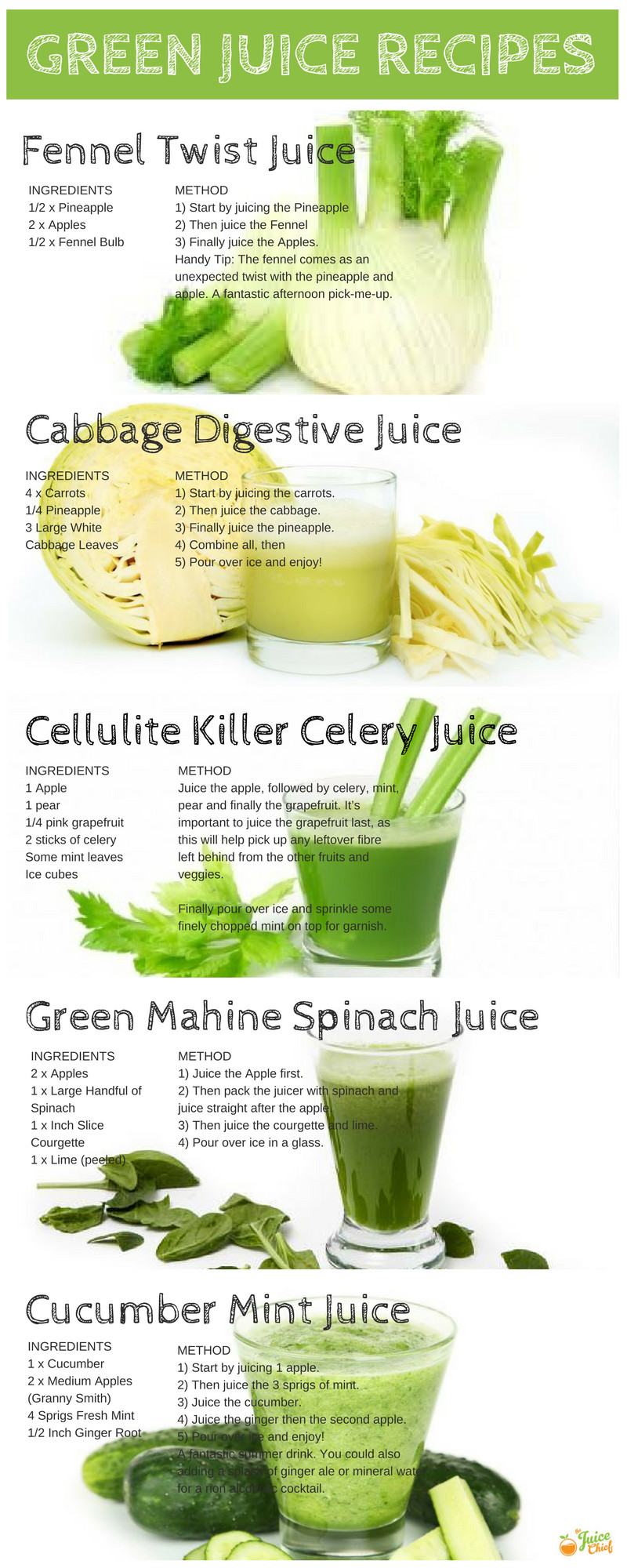 Juicing Recipes For Weight Loss
 Super Healthy Green Juice Recipes For You To Try Infographic