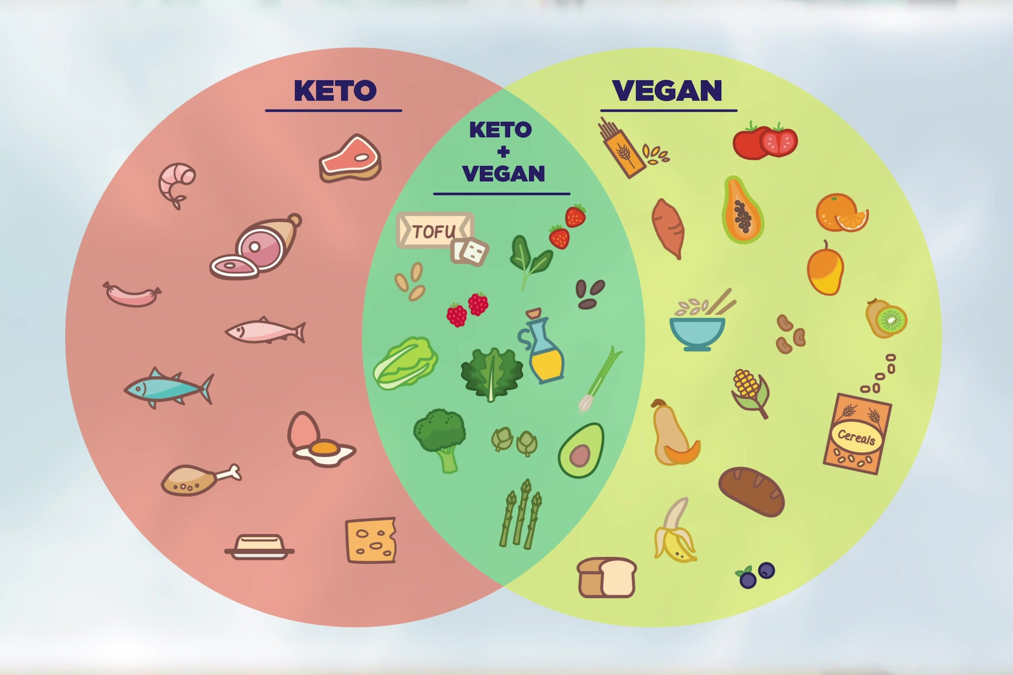 Keto Diet Plan Vegetarian
 Keto vs Vegan Foods