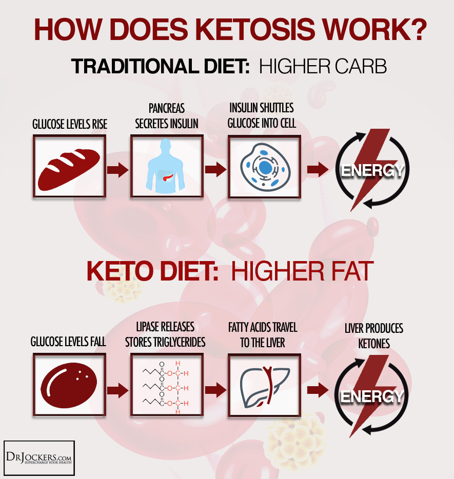 Keto Diet Without Gallbladder
 Following a Ketogenic Diet without a Gallbladder