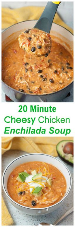 Kid Friendly Chicken Enchiladas
 Enchilada Recipe Kid Friendly Chicken Enchilada Recipe
