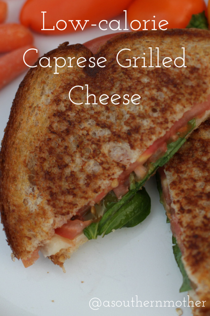 Low Calorie Appetizer Recipes
 Low Calorie Caprese Grilled Cheese Recipe