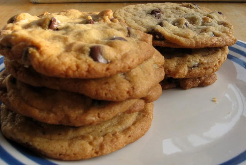 Low Calorie Biscuit Recipe
 Low Calorie Cookie Recipes