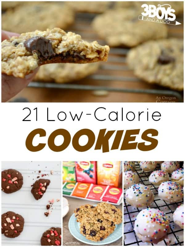 Low Calorie Biscuit Recipe
 Over 20 Low Calorie Cookies – 3 Boys and a Dog – 3 Boys