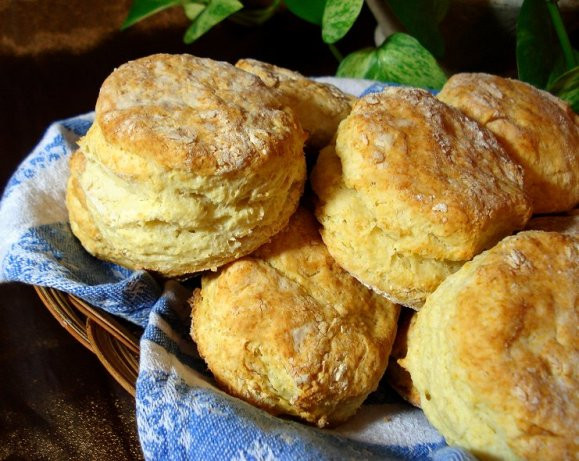 Low Calorie Biscuit Recipe
 Low Fat Biscuits Ww Recipe Food
