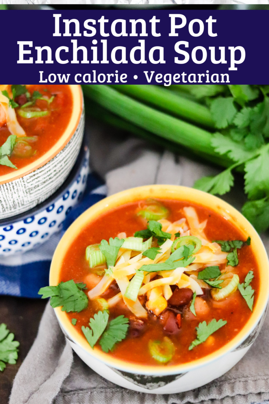 Low Calorie Soup Recipes
 Instant Pot Enchilada Soup low cal & ve arian