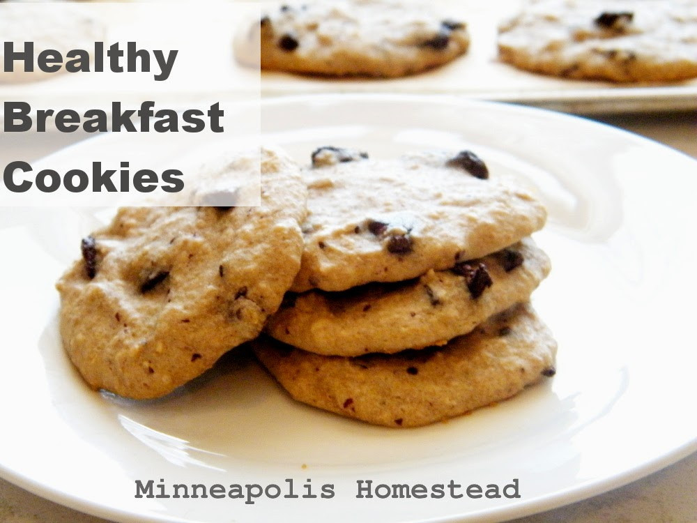 Low Fat Cookie Recipes
 High Protein Banana Chocolate Chip Breakfast Cookies