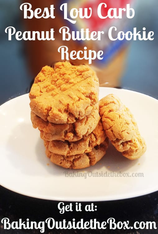 Lowfat Peanut Butter Cookies
 Best Low Carb Peanut Butter Cookie Recipe Baking Outside
