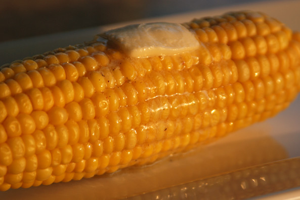 Microwave Sweet Corn
 Sweet Microwave Corn on the Cob from Zestuous