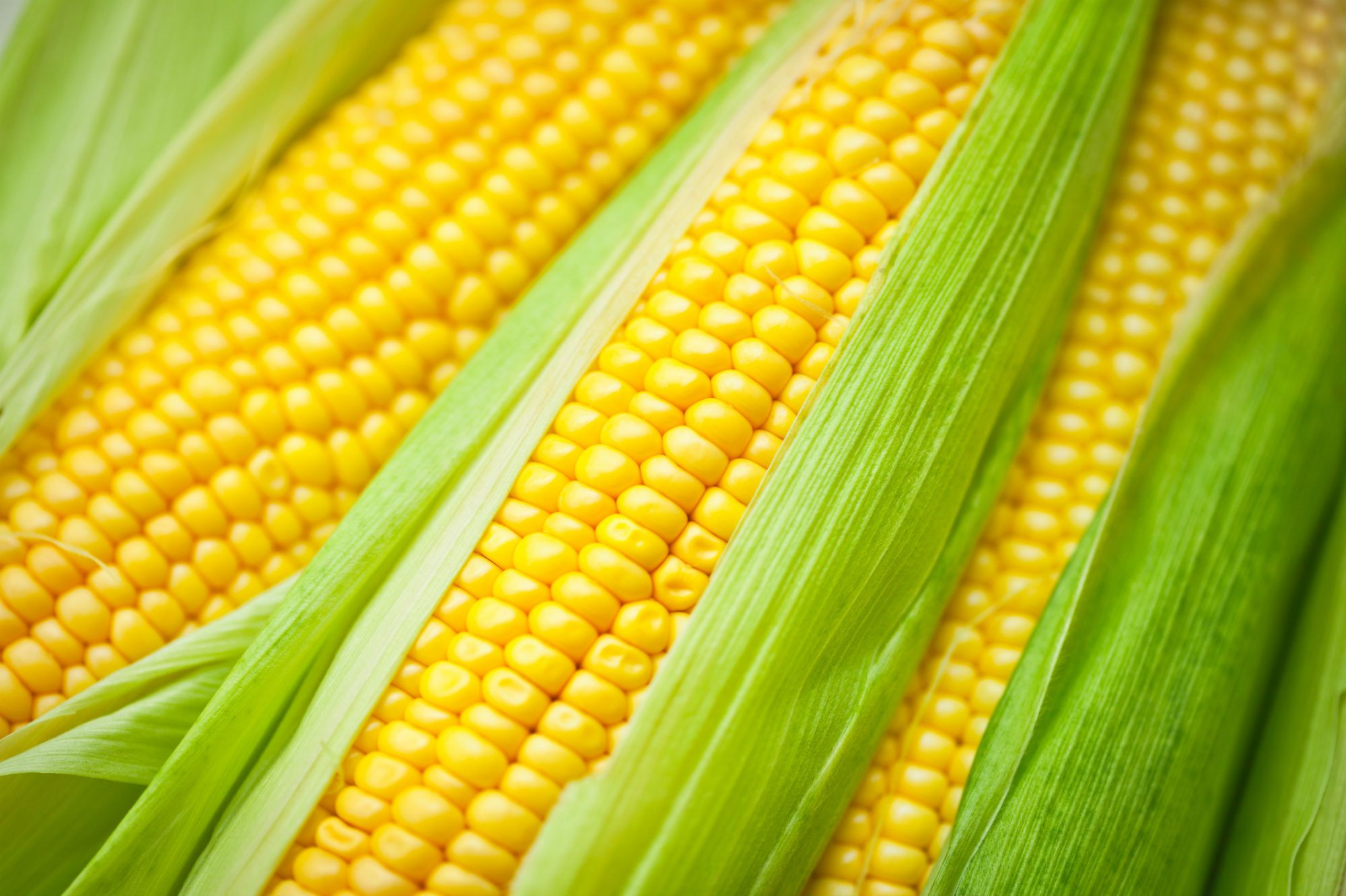 Microwave Sweet Corn
 How and When to Pick and Cook Sweet Corn