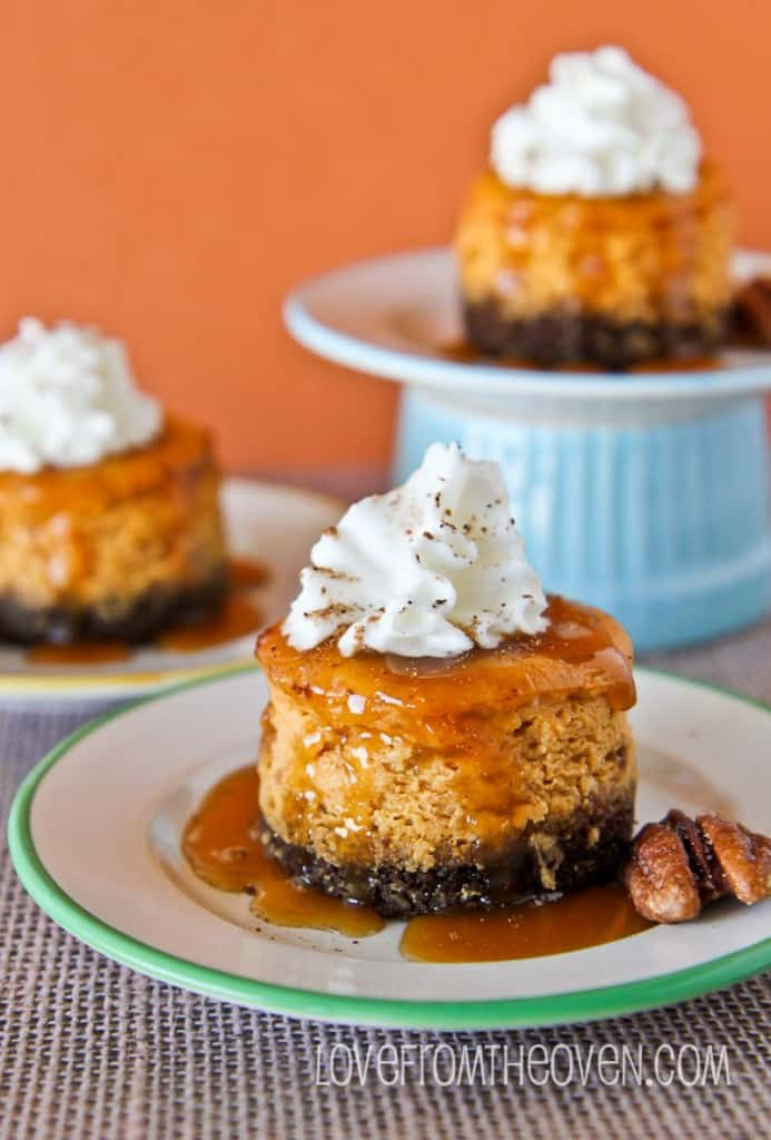 Mini Pumpkin Cheesecake Recipe
 Mini Pumpkin Cheesecakes With Gingersnap Crust Love From
