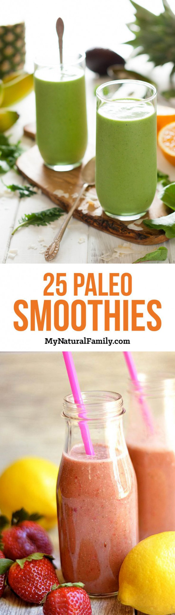Paleo Breakfast Smoothies
 25 Paleo Breakfast Smoothie Recipes detoxsmoothie in 2020