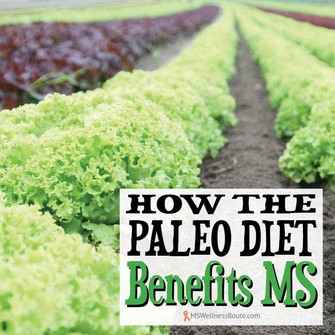 Paleo Diet For Ms
 How The Paleo Diet Benefits MS MS Wellness Route