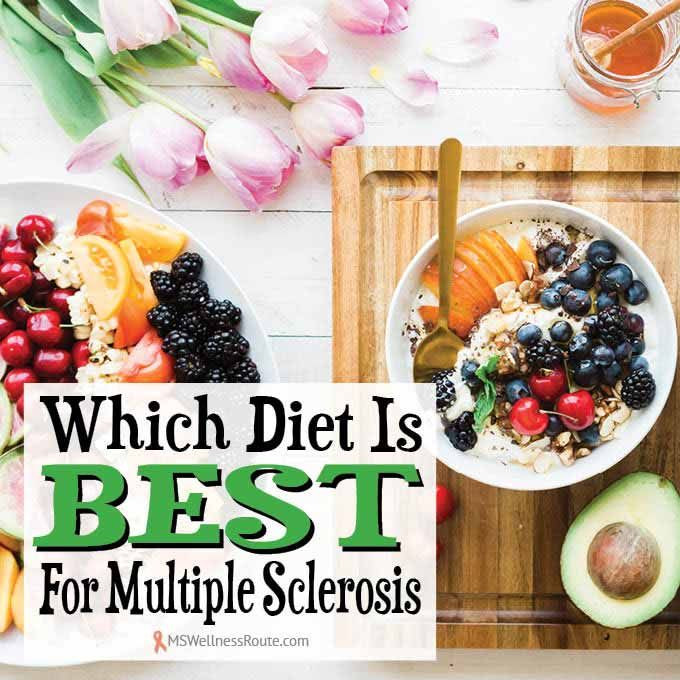 Paleo Diet For Ms
 Which Diet Is Best For MS