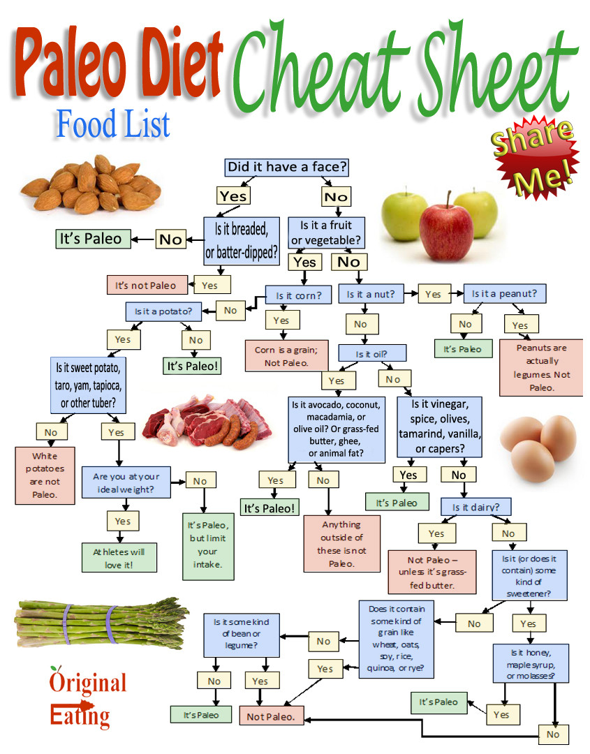 Paleo Diet Grocery List
 9 Best of Diet Grocery List Printable Paleo Diet