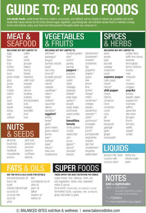 Paleo Diet Grocery List
 Guide to Paleo Foods Cheat Sheet Best Infographics