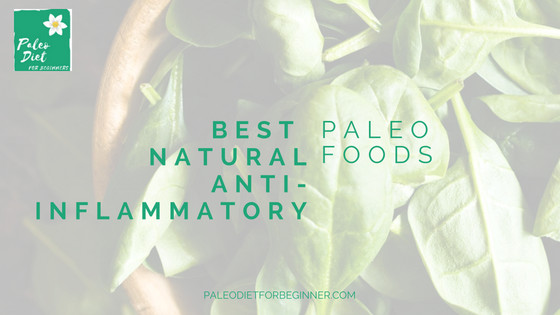 Paleo Diet Inflammation
 Best Natural Anti Inflammatory Foods