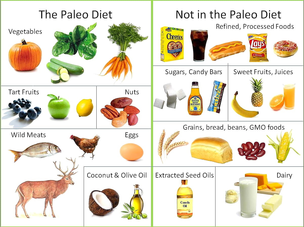 Paleo Diet To Lose Weight Fast
 What Is The Paleo Diet and Why Has It Be e So Popular