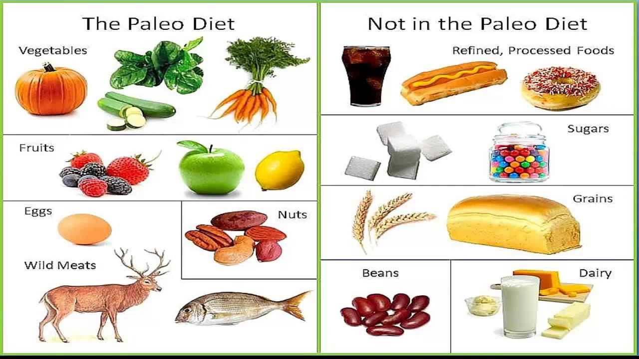 Paleo Diet Unhealthy
 Fighting Anorexia Paleo Diet
