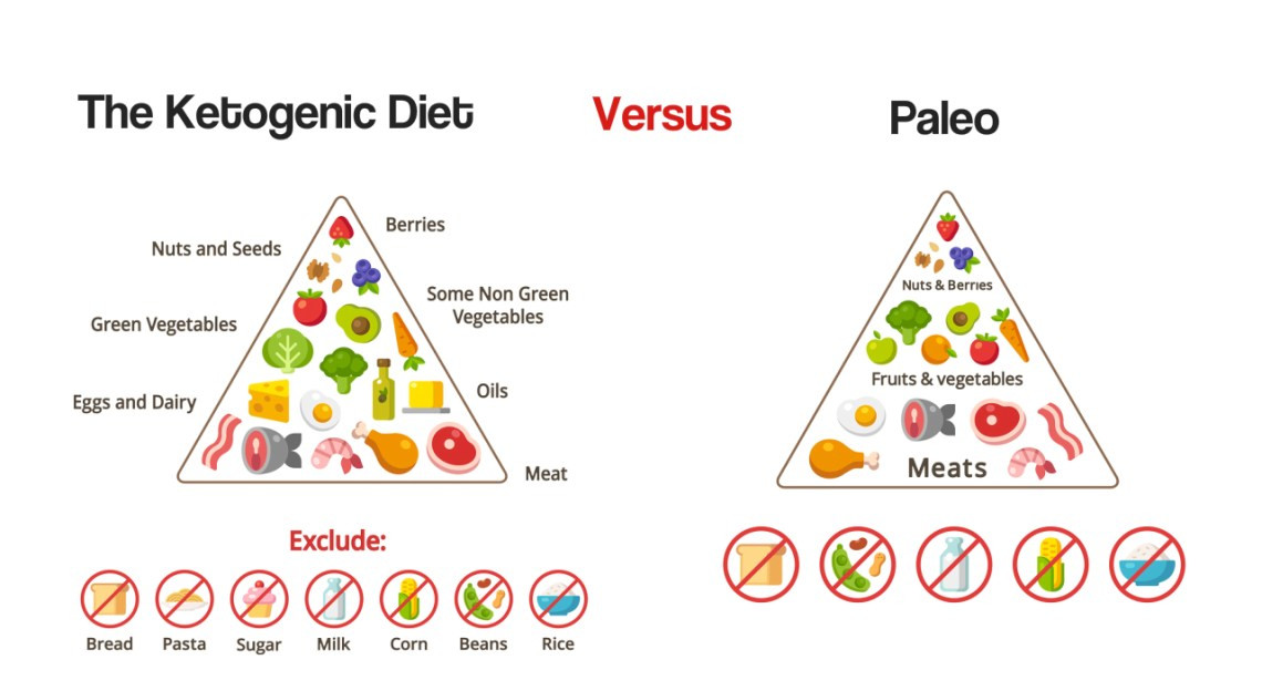 Paleo Diet Vs Keto Diet
 The Ketogenic Diet Versus The Paleo Diet