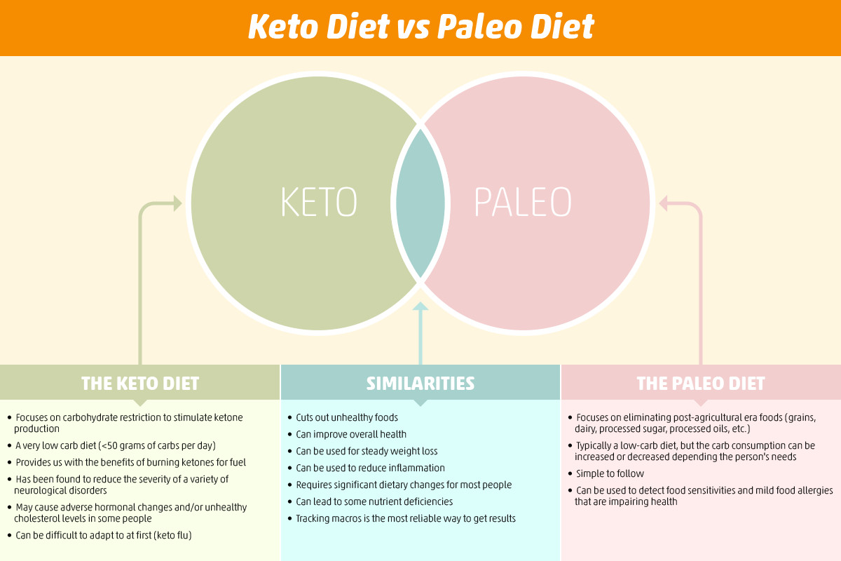 Paleo Diet Vs Keto Diet
 Keto Diet vs Paleo Diet Is Keto Better Than Paleo