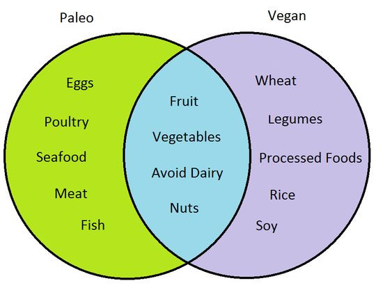 Paleo Diet Vs Vegan
 paleo vs vegan