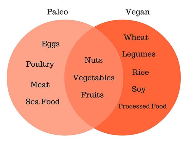 Paleo Diet Vs Vegan
 Paleo vs Vegan – Pros and Cons – Balance pH Diet