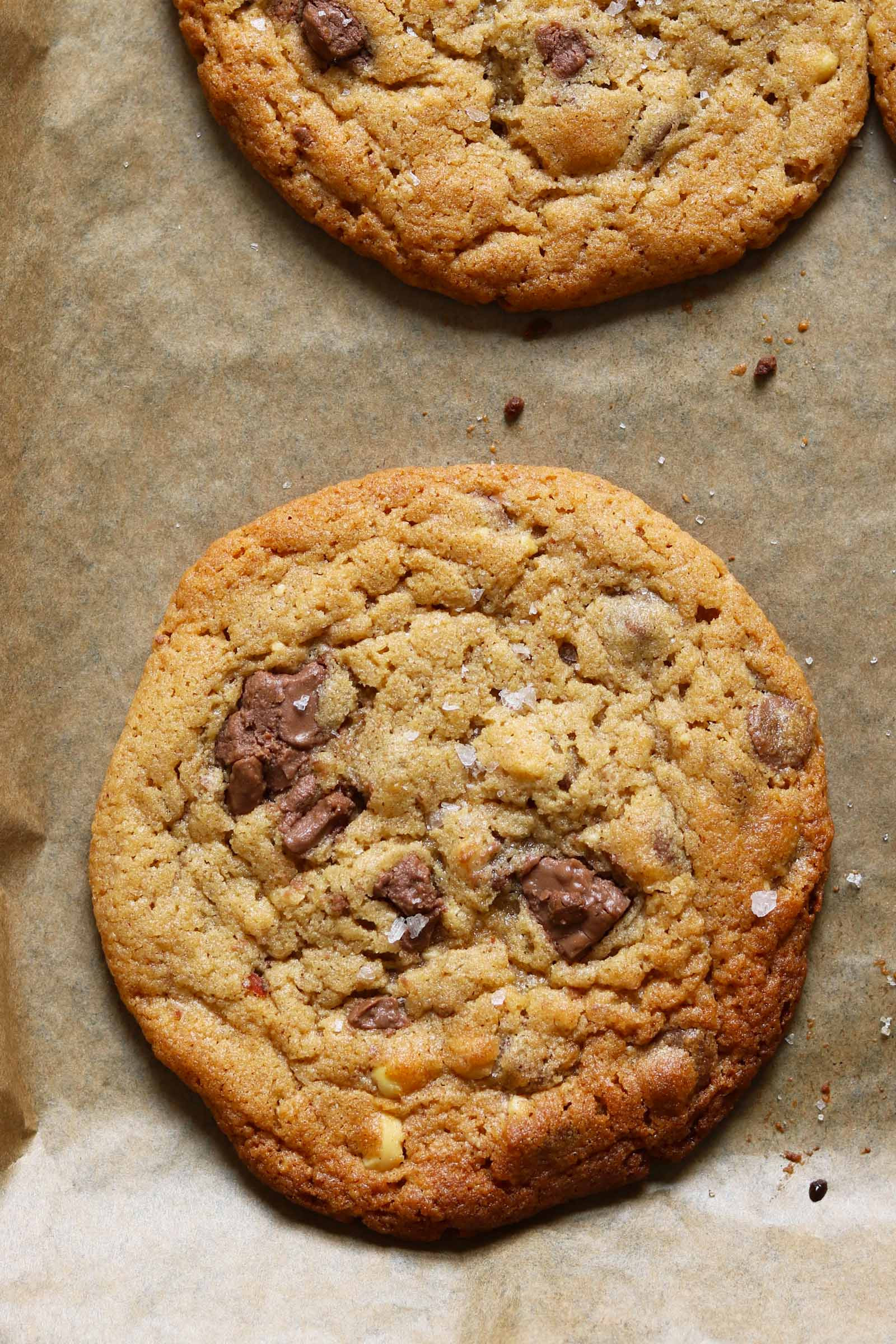 Peanut Butter Cookies With Peanut Butter Chips
 Peanut Butter Chocolate Chip Cookies The Last Food Blog