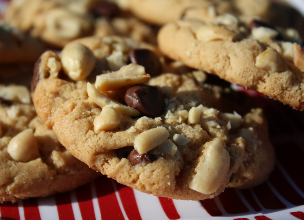Peanut Butter Cookies With Peanut Butter Chips
 Peanutty Peanut Butter Chocolate Chip Cookies Garlic Girl
