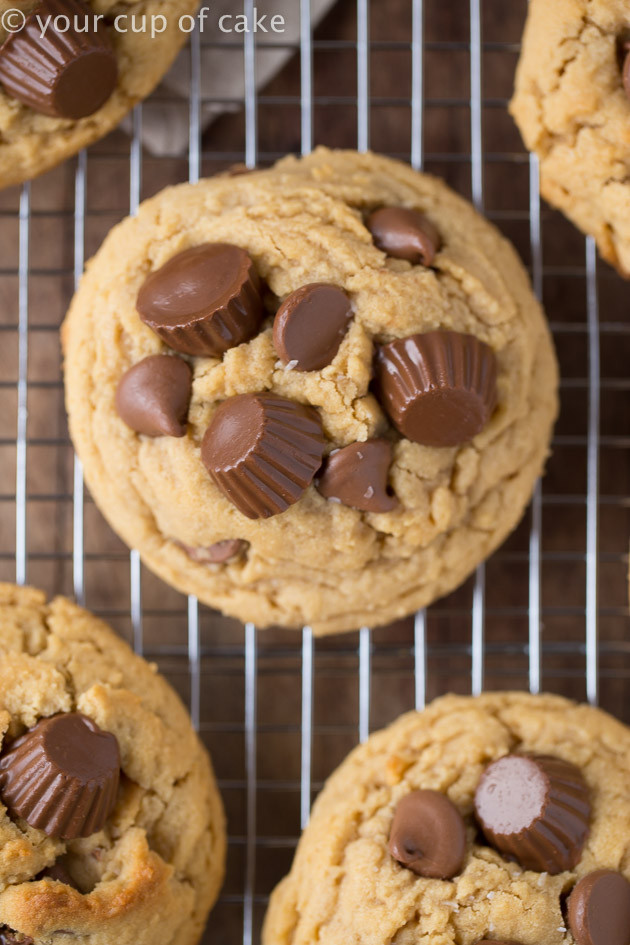 Peanut Butter Cookies With Reeses Cup
 Reese s Peanut Butter Cup Cookies Your Cup of Cake
