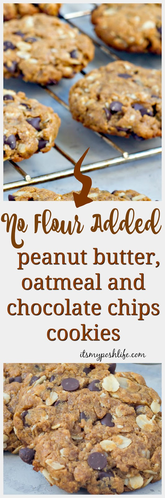 Peanut Butter Oatmeal Cookies No Flour
 No Flour Added Chocolate Chip Peanut Butter and Oatmeal